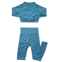 Seamless Yoga Pants and Crop Top Fitness Set for Women