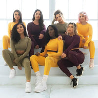 Seamless Yoga Pants and Crop Top Fitness Set for Women