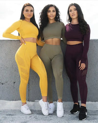 Seamless Yoga Pants and Crop Top Fitness Set for Women