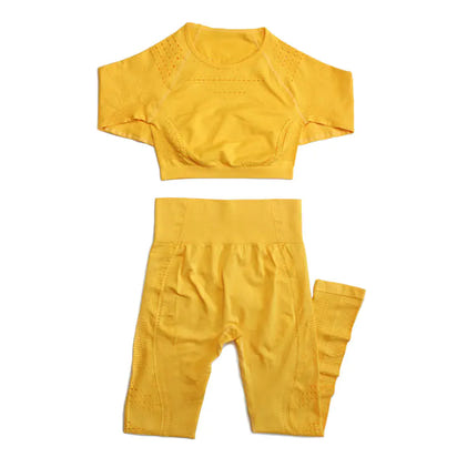 Seamless Yoga Pants and Crop Top Fitness Set for Women